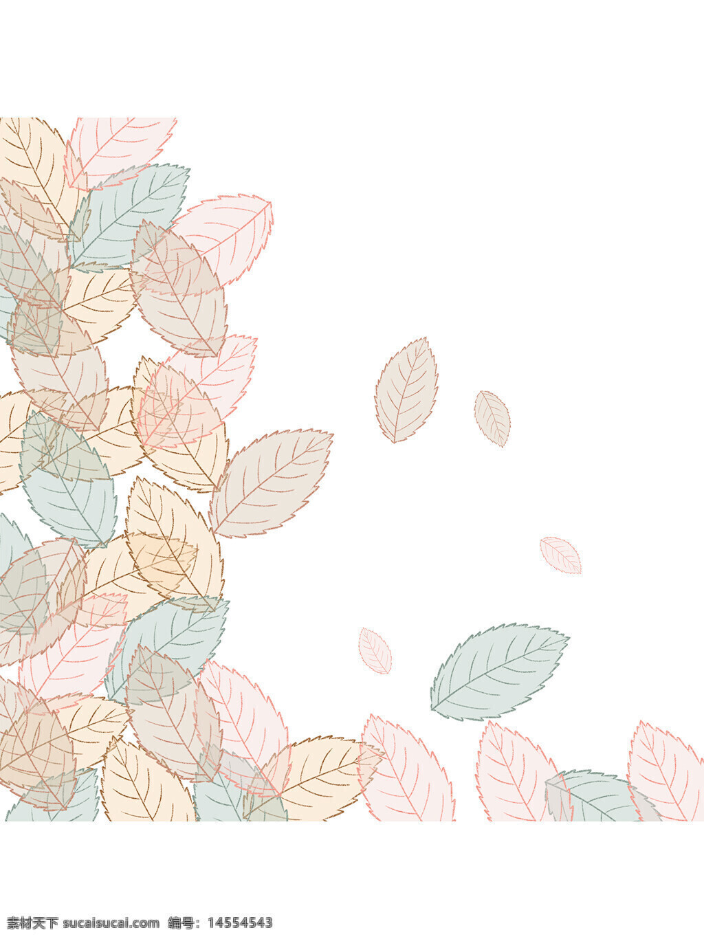 落叶 树叶 植物 秋季 秋天 边框 装饰 漂浮 小清新