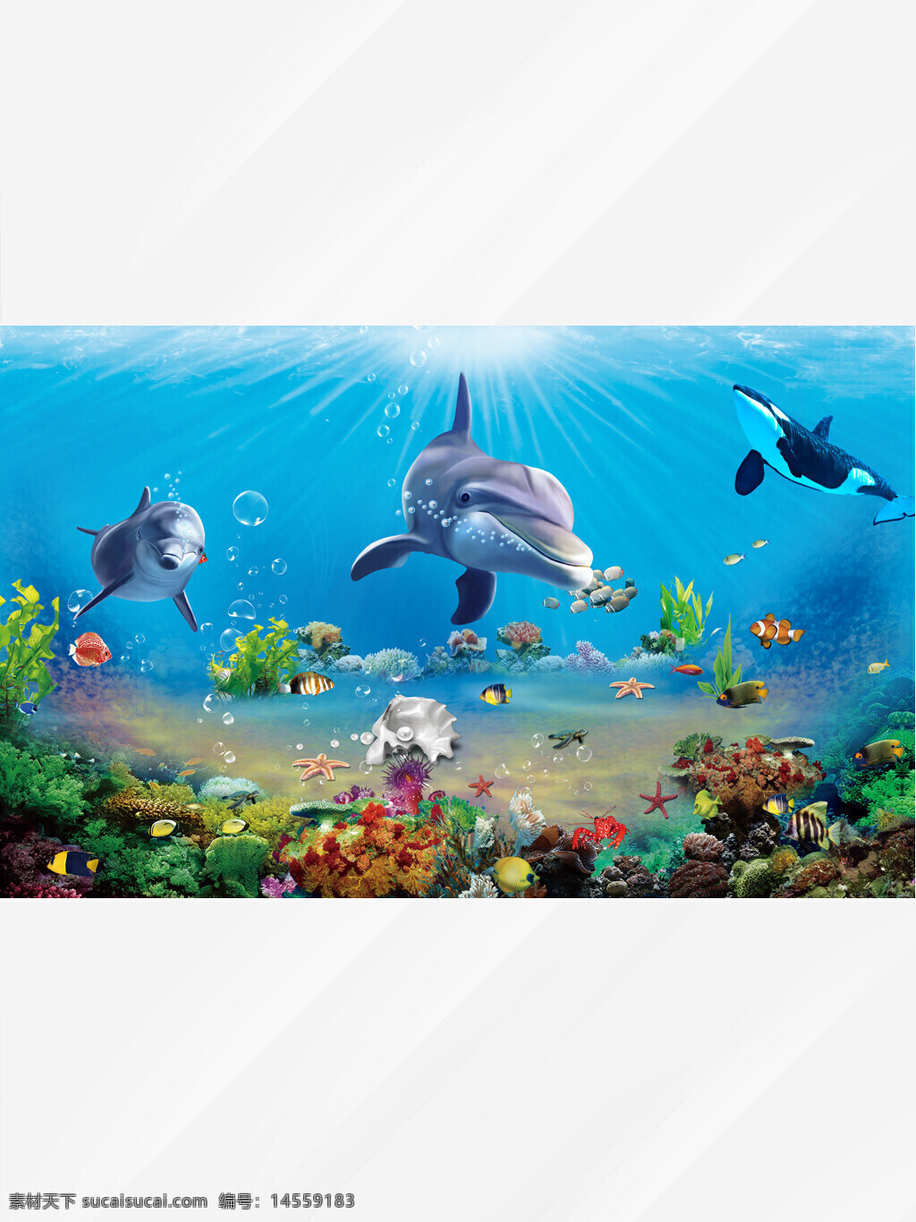 海底 水底 海豚 鲸鱼 海洋 鱼 水下 动物