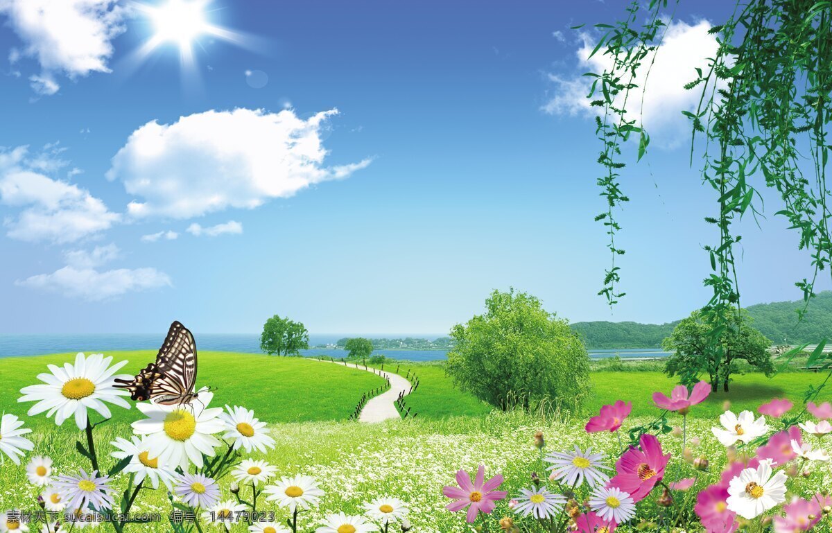 蓝天 白云 绿 草地 阳光 树木 草坪 花朵 蝴蝶 柳树 树叶 自然景观 山水风景
