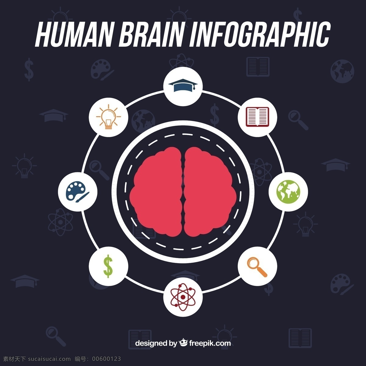 人脑 圆形 图表 图标 模板 脑 科学 人类 创意 过程 数据 图表模板 信息 知识 分析 图形创意 心理学