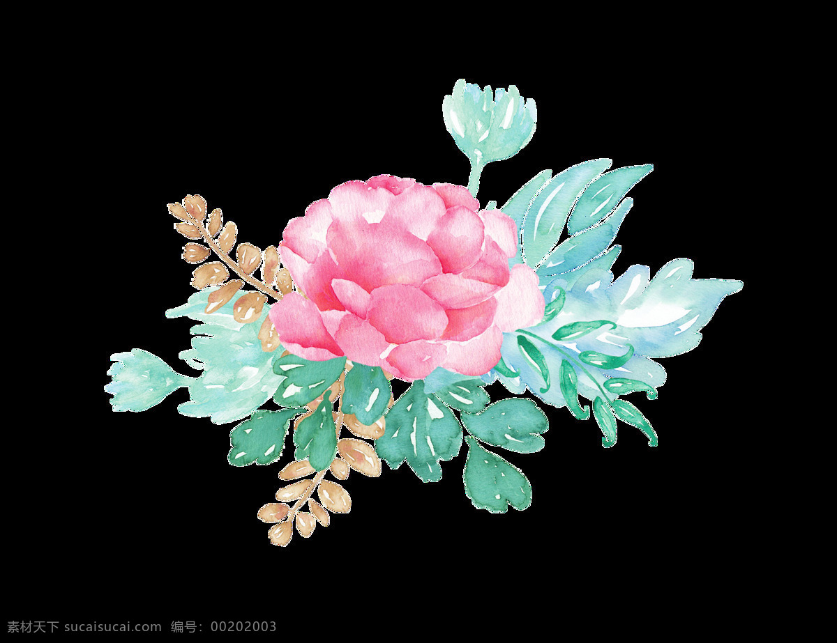 卡片 装饰 花卉 透明 卡通 抠图专用 设计素材