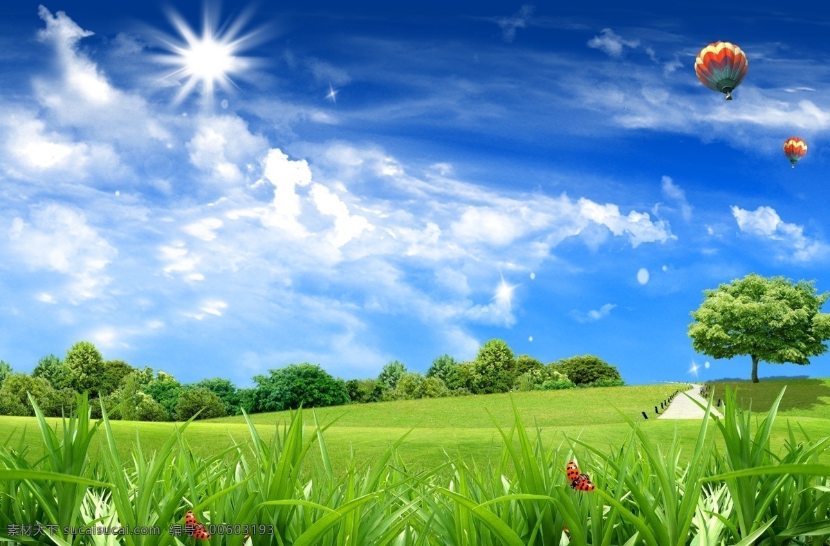 自然环境海报 自然环境 美丽的大自然 草原 草地 草坪 草丛 树木 树林 热气球 太阳 蓝天白云 虫子 美丽风景 源文件 广告设计模板