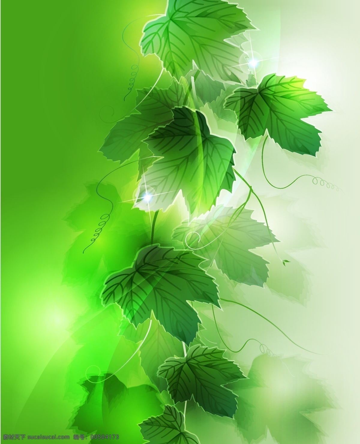 梦幻 植物 背景 矢量图 春色 春天 春意 绿叶 素材图片 藤类植物 其他矢量图