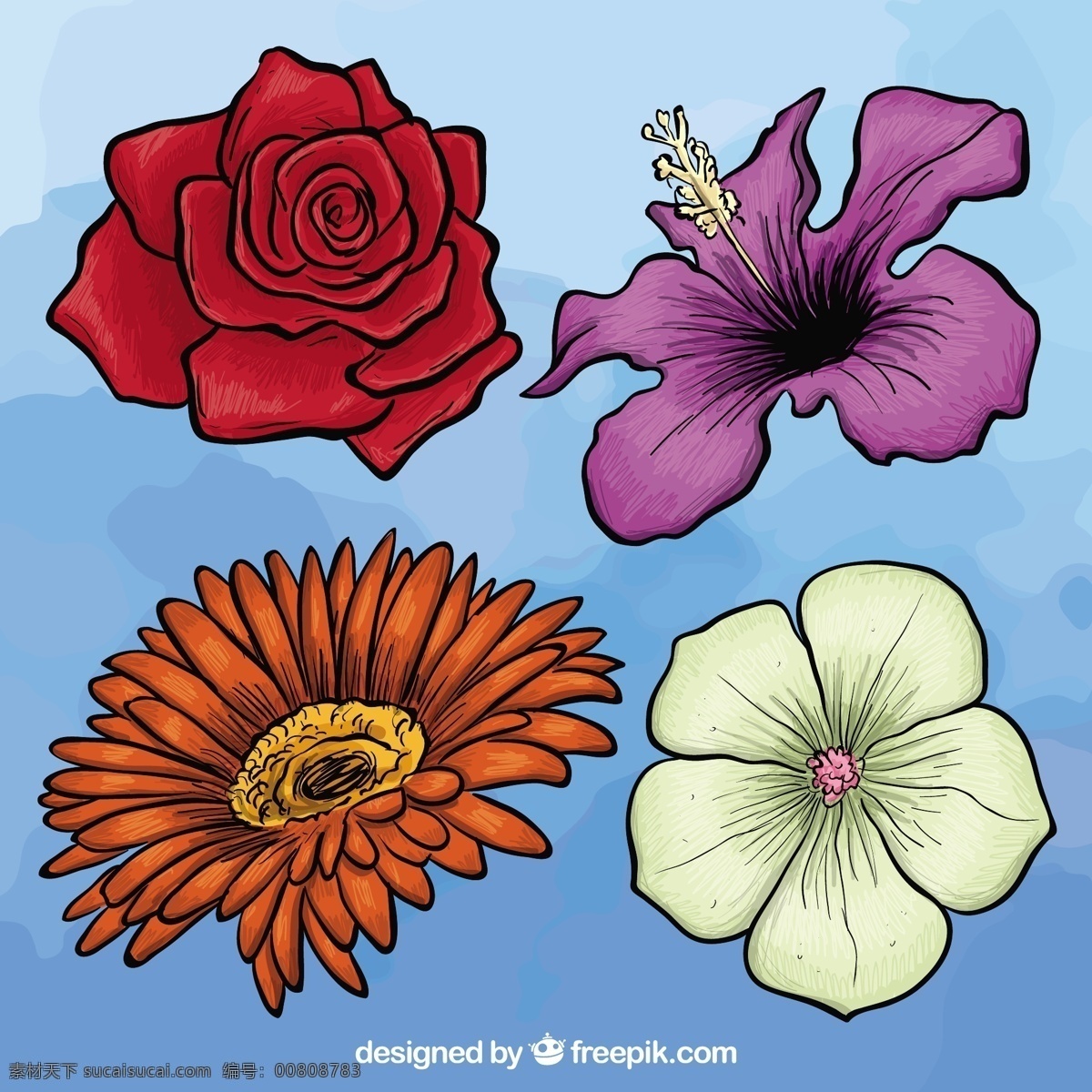 手拉花的种类 花 手 自然 春天 手绘 色彩 绘画 插图 花束 百花齐放 春天的花朵 美丽 吸引 粗略的 彩色的 红色