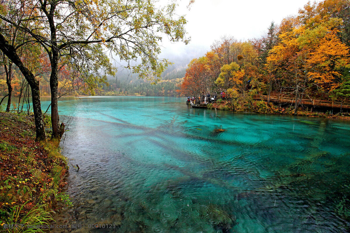 九寨沟 树木 青山 绿水 湖泊 青山绿水 倒影 风景 自然风景 旅游摄影 自然景观