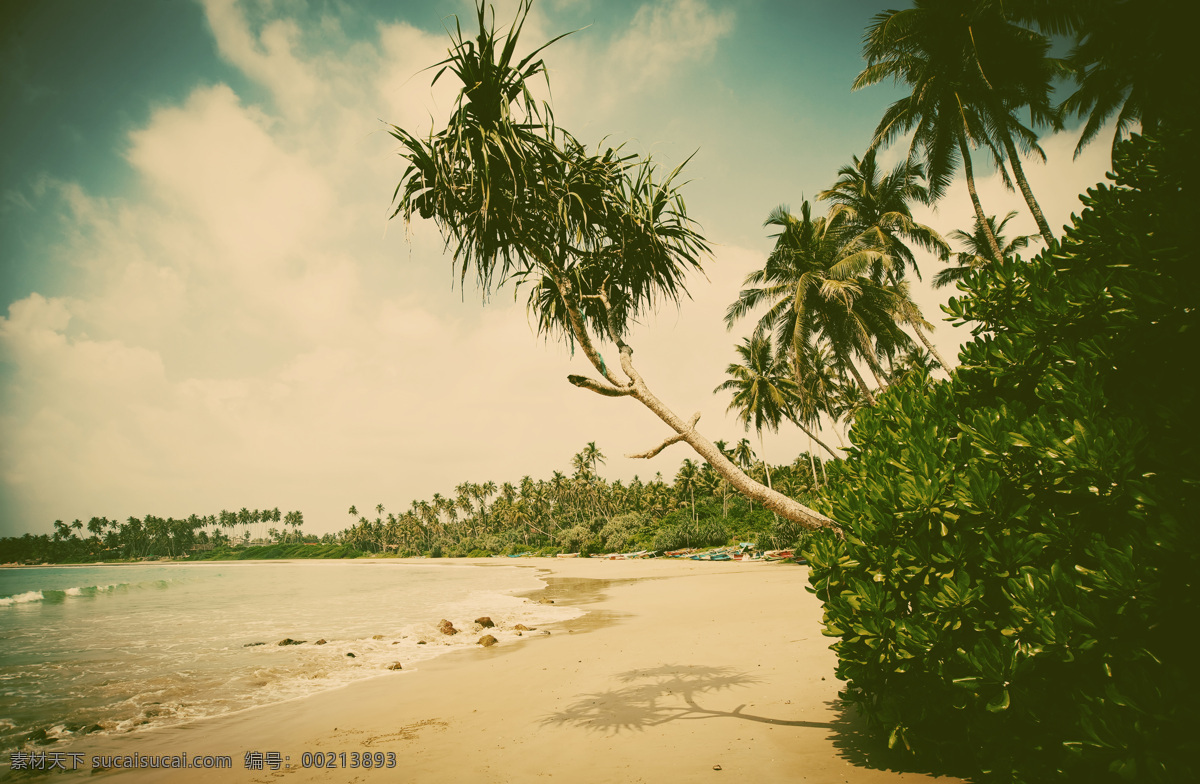 椰树海岸景色 蓝天 天空 白云 椰树 海滩风景 沙滩风景 美丽风景 海洋风景 海岸风景 美丽景色 风景摄影 美景 自然风光 海洋海边 自然景观 黑色