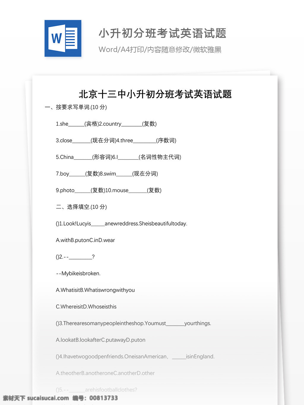 北京 十 三中 小升 初 分 班 考试 英语 试题 word 教育文档 模拟试卷 文档 文档模板 小学教育 小学英语 学习资料 英语试卷 英语资料