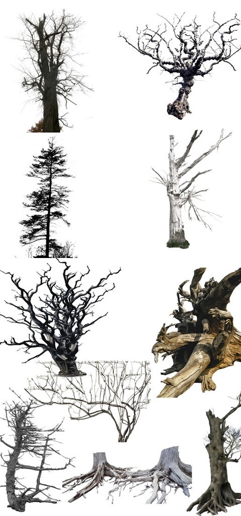 树干 枯木 朽木 树干枯木朽木 树枝 树根 各种木桩 干旱 木雕 艺术品 造型 水墨中国风 分层