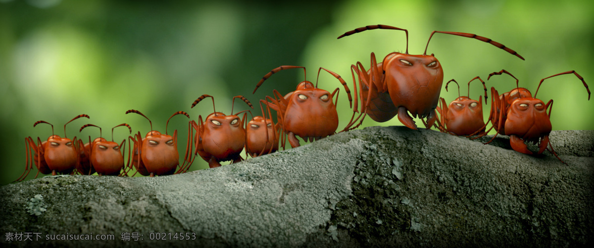 昆虫总动员 虫虫大联盟 蚂蚁谷 红蚁 黑蚂蚁 瓢虫 方糖争霸战 密林 动画 动画电影 动画电影素材 动漫动画 动漫人物