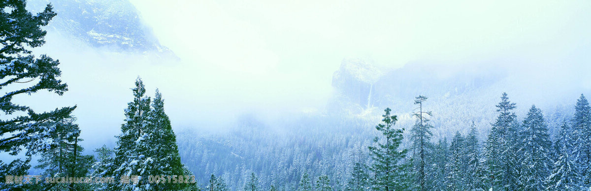 森林 森林背景 森林风景 森林树木 山 树木 树木大树 树木剪影 雾 雾气 森林与树木 树木植物 雾蒙蒙 雾素材 雾中的山