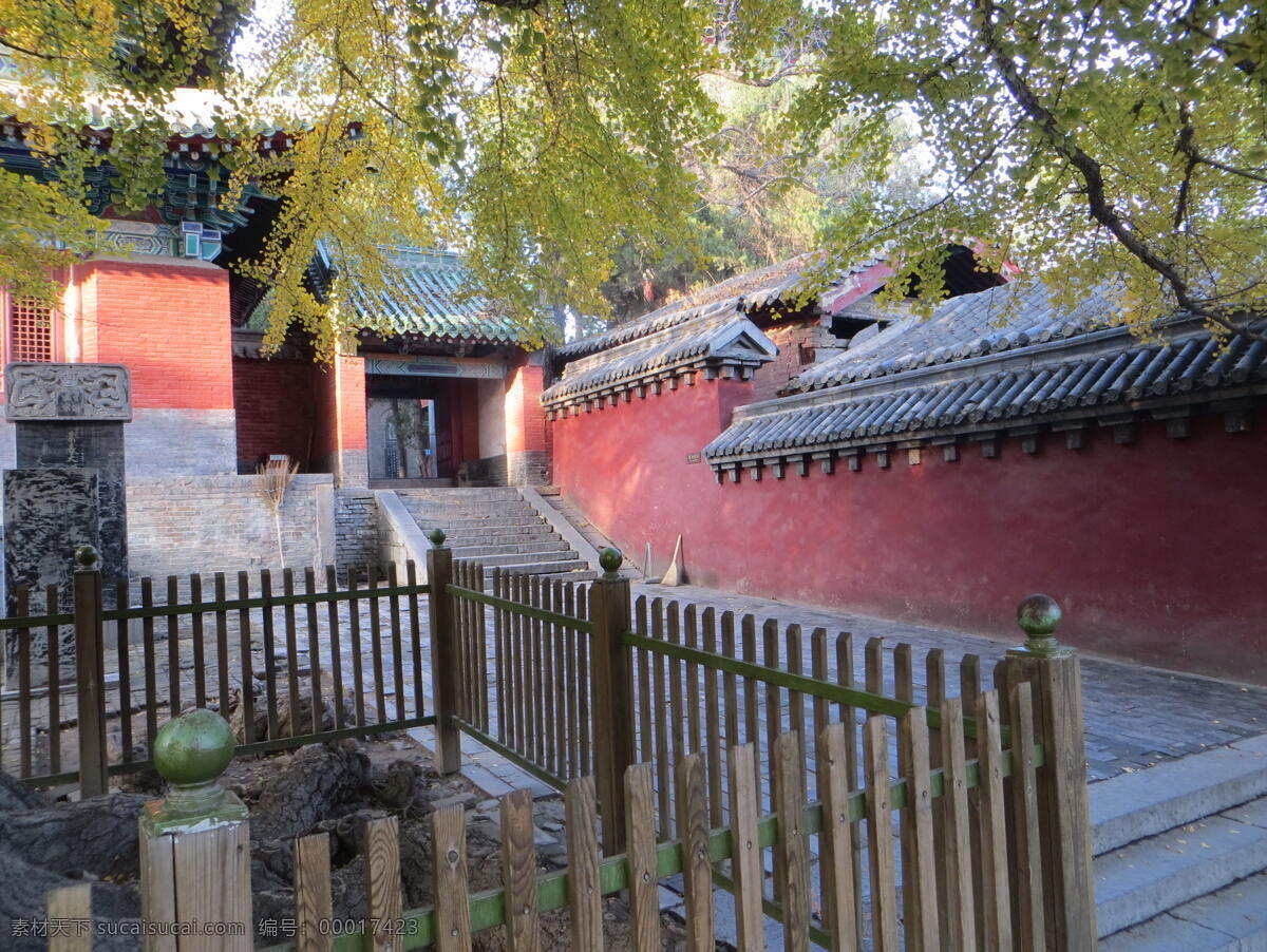 少林寺内景 登封 嵩山 少林寺 红墙 天王殿 银杏树 栅栏 侧门 少林寺风光 建筑园林 园林建筑