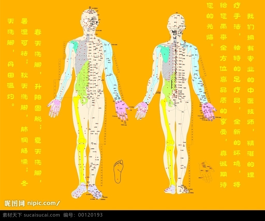 人体 经络 图 矢量 版 脚 手 穴位图 其他矢量 矢量素材 矢量图库 其他设计