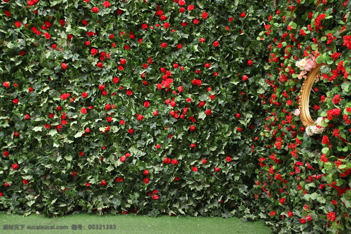 花墙背景 绿叶红花 背景图 高清 蔷薇花墙 玫瑰花墙 生物世界 花草