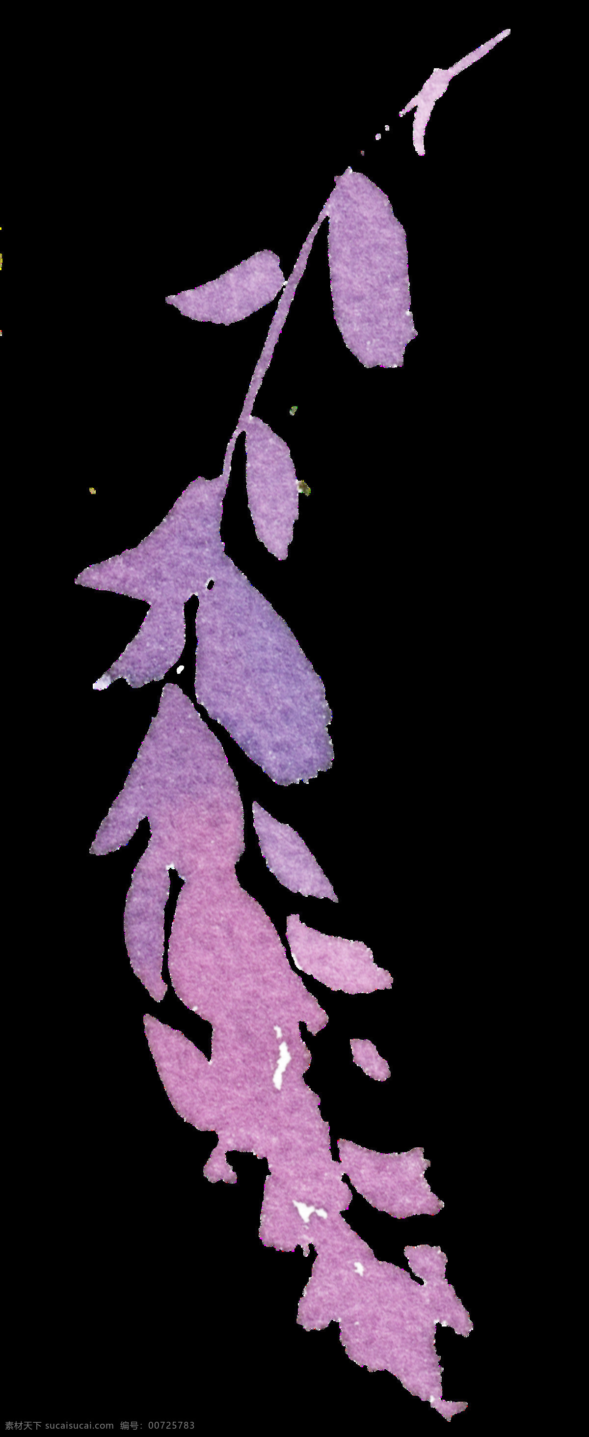 手绘 紫色 水彩 叶子 透明 浪漫紫 免扣素材 水墨 透明素材 唯美 稀有 渲染 装饰图案