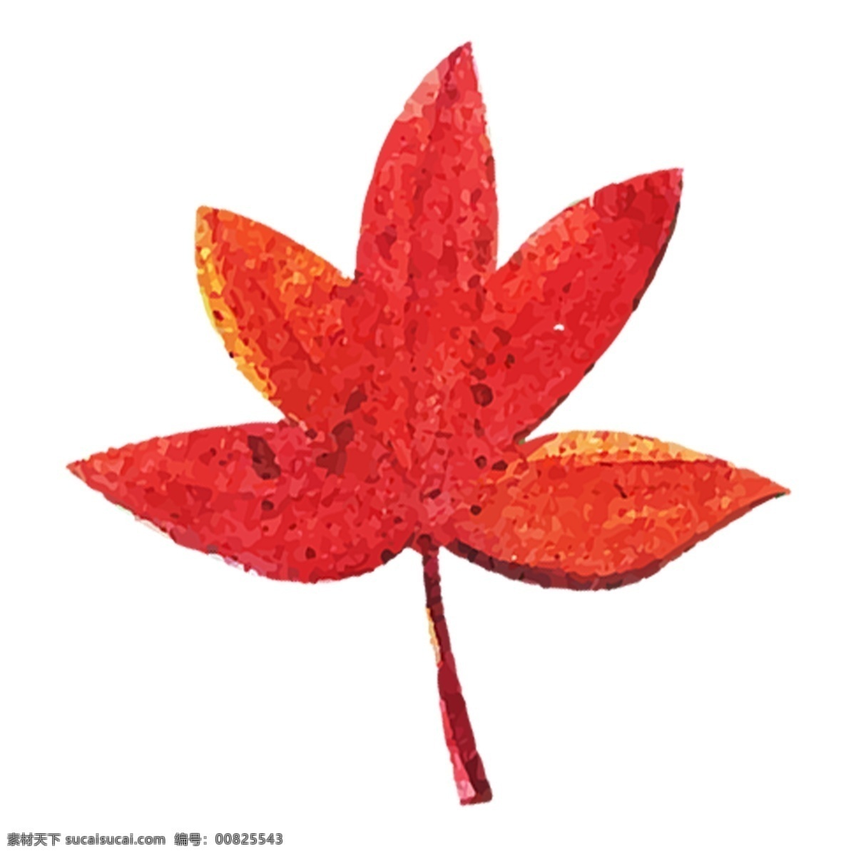 手绘 红色 枫叶 水彩 装饰素材