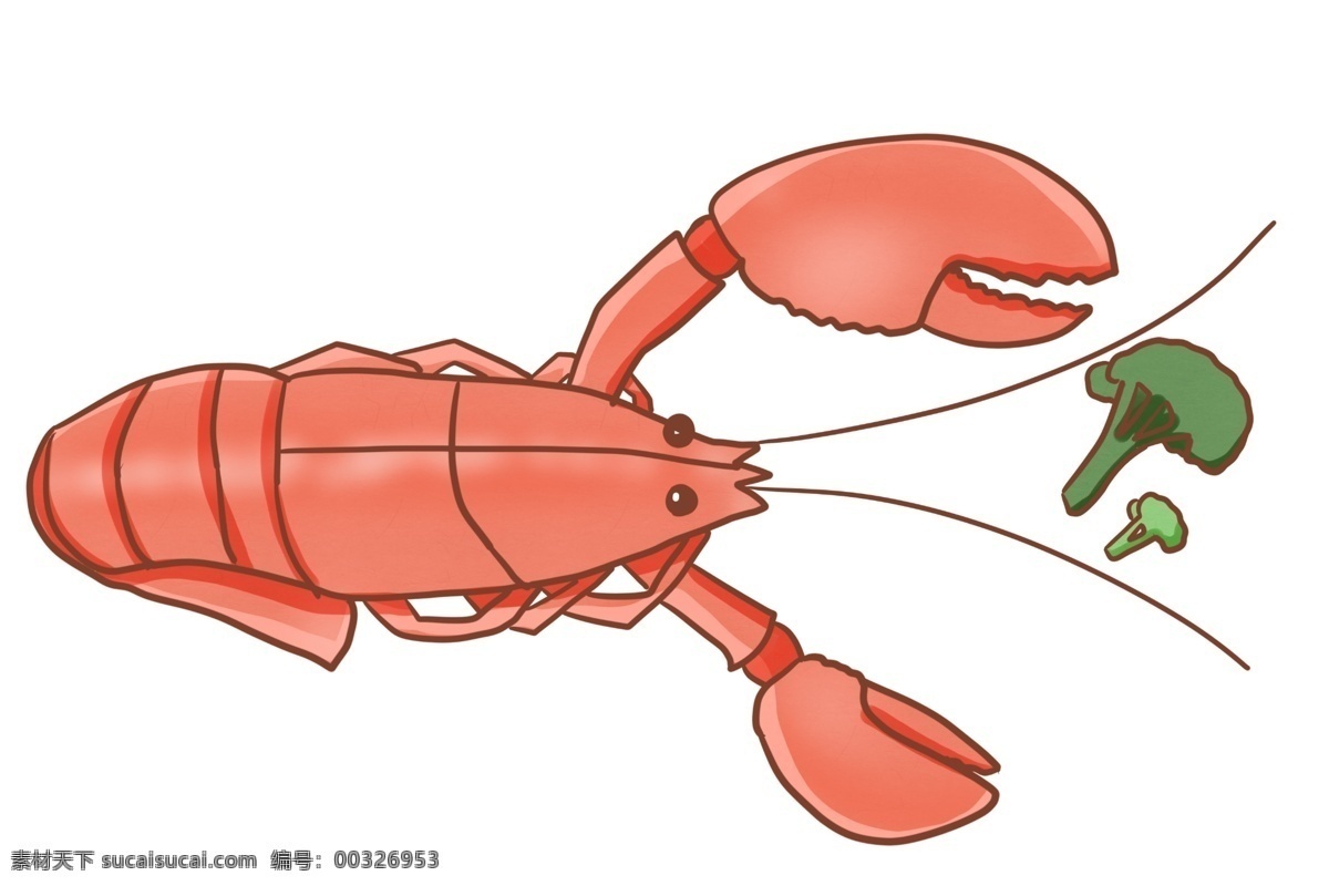 吃 蔬菜 龙虾 插画 绿色的蔬菜 卡通插画 龙虾插画 深海龙虾 淡水龙虾 动物插画 长长的触须