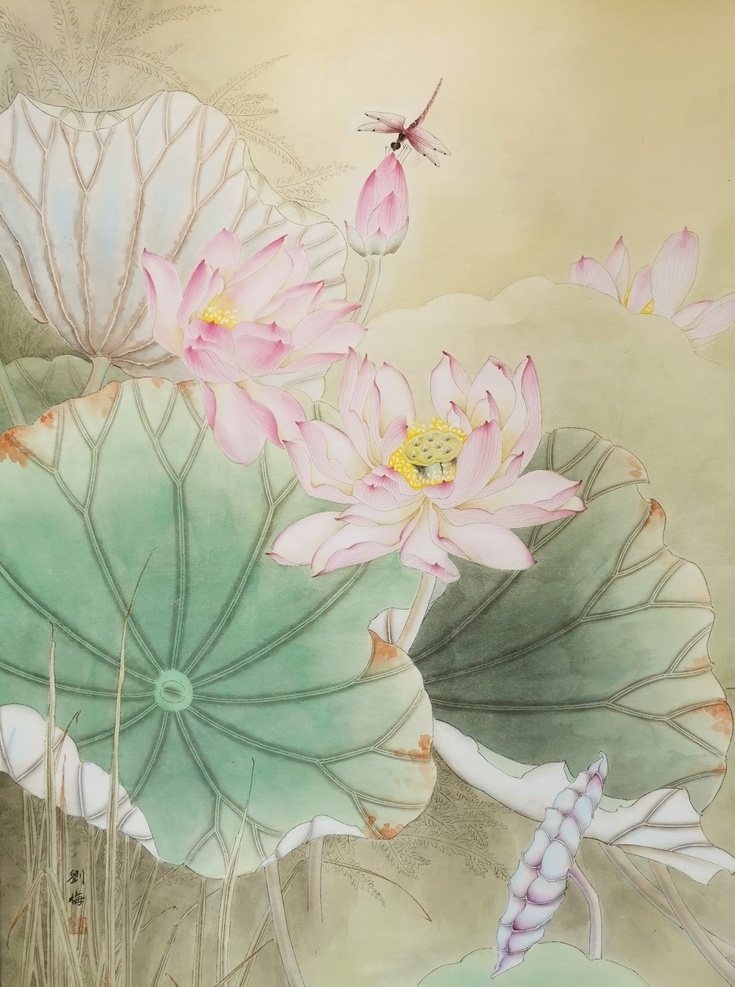 荷花图片 荷花 荷花国画 荷花工笔画 工笔画 蜻蜓 荷韵 文化艺术 美术绘画