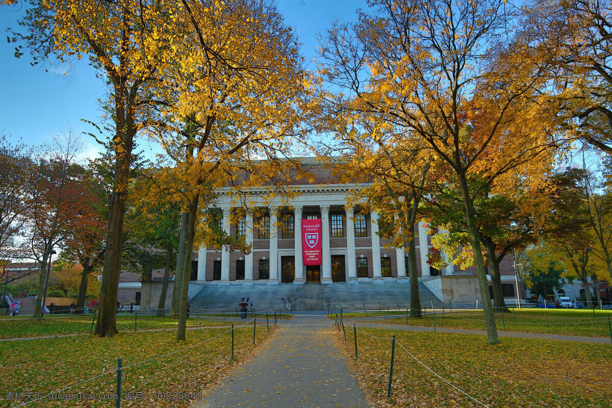 唯美 风景 风光 旅行 自然 美国 大学 哈佛大学 高等学府 文化哈佛 名校 旅游摄影 国外旅游
