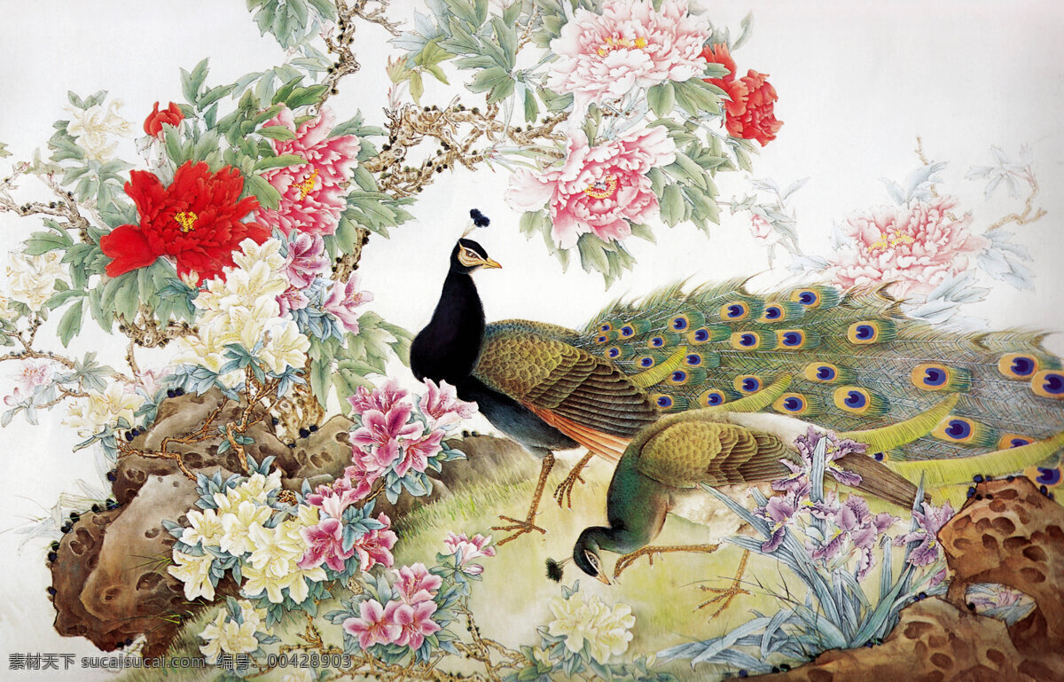 草地 芬芳 国画艺术 红牡丹 花卉画 花香 画 绘画书法 国色 佳侣 设计素材 模板下载 国色佳侣 中国画 工笔重彩画 现代国画 孔雀 漂亮羽毛 牡丹花 白牡丹 水仙花 山茶花 叶子 浓艳 石头 书法 印章 国画集16 文化艺术 装饰素材 雕刻 图案