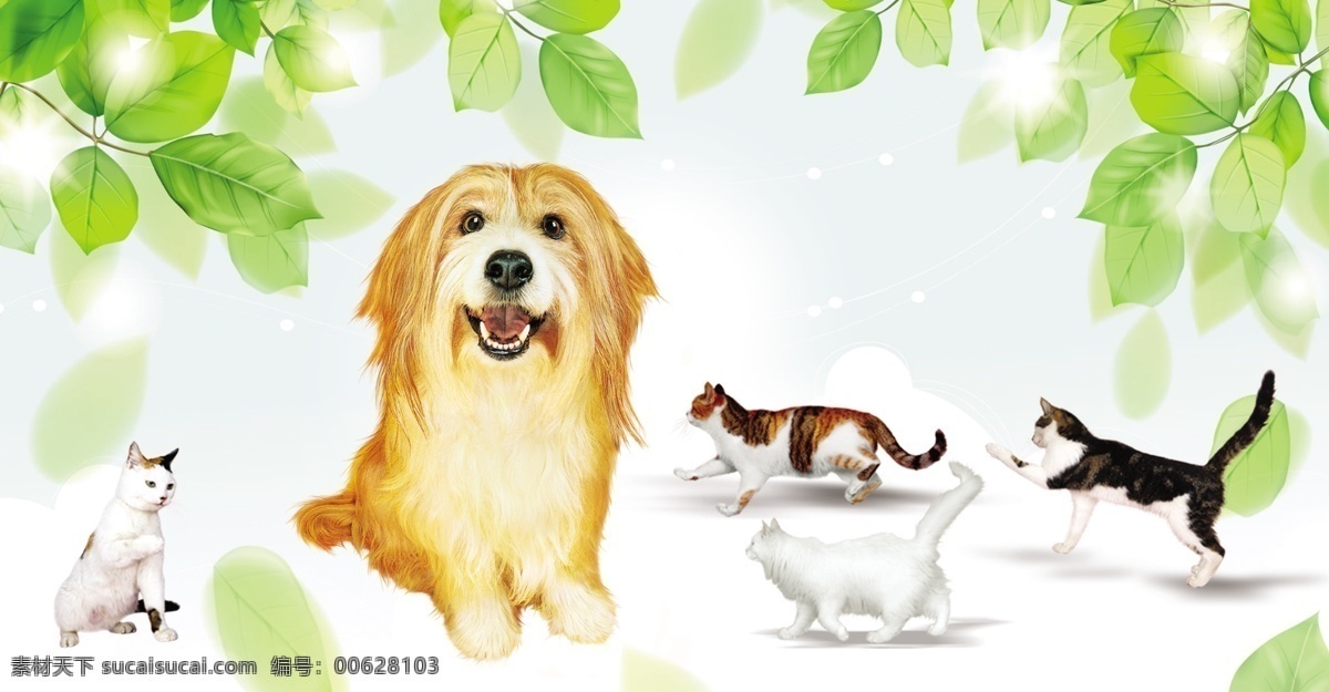 草地 上 小猫 小狗 可爱卡通 psd源文件
