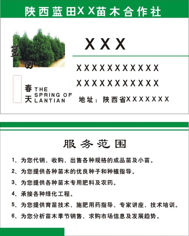 白皮松 名片 简洁名片 绿色名片 企业名片 名片卡 其他名片