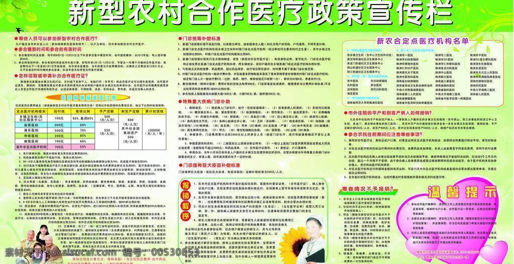 农村 合作医疗 宣传栏 版面 展板模板 2012 年 湖南省 新型 合作 医疗政策 政策 补助比列 单位宣传展板 矢量 医疗服务 其他展板设计