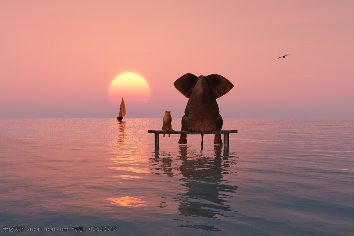 治愈 系 萌 物 凳 上 大象 小狗 背影 治愈系 萌物 夕阳 水面 海面 帆船 摄影jpg 生物世界 野生动物