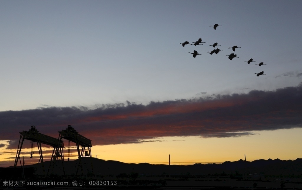归鸟夕阳 夕阳 归鸟 剪影 宁静 归途 自然景观 自然风景