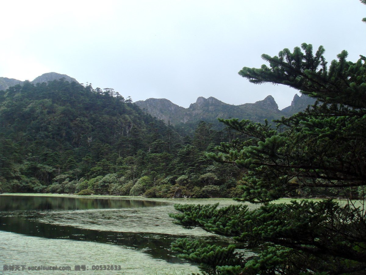 仙草 湖 山水风景 自然景观 仙草湖2 螺髻山仙草湖 psd源文件
