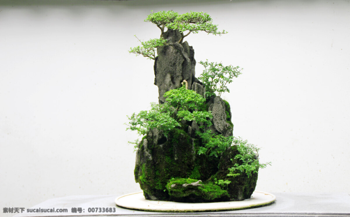 川派盆景 盆景 川派 山石 假山 盆栽 艺术 景物摄影 自然景观