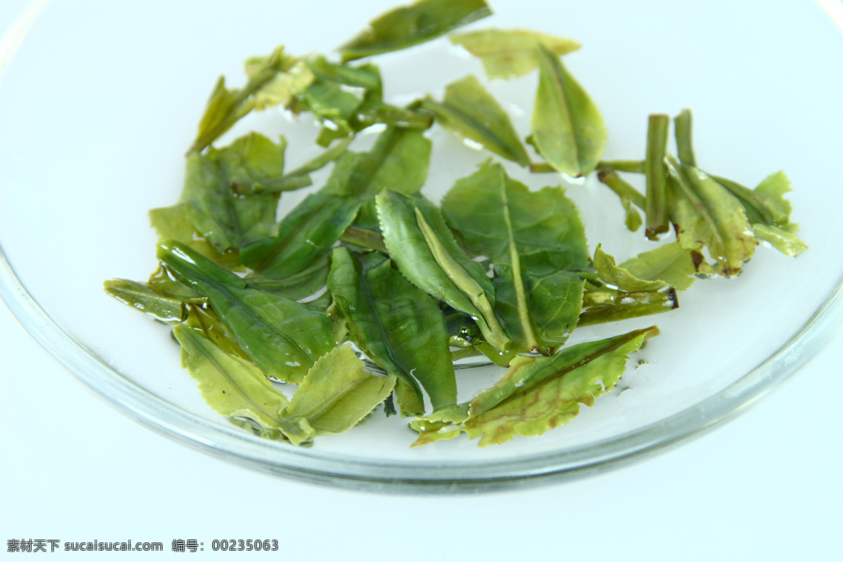 铁观音茶叶 绿叶 茶叶 玻璃茶盘 绿叶素材 饮料酒水 餐饮美食