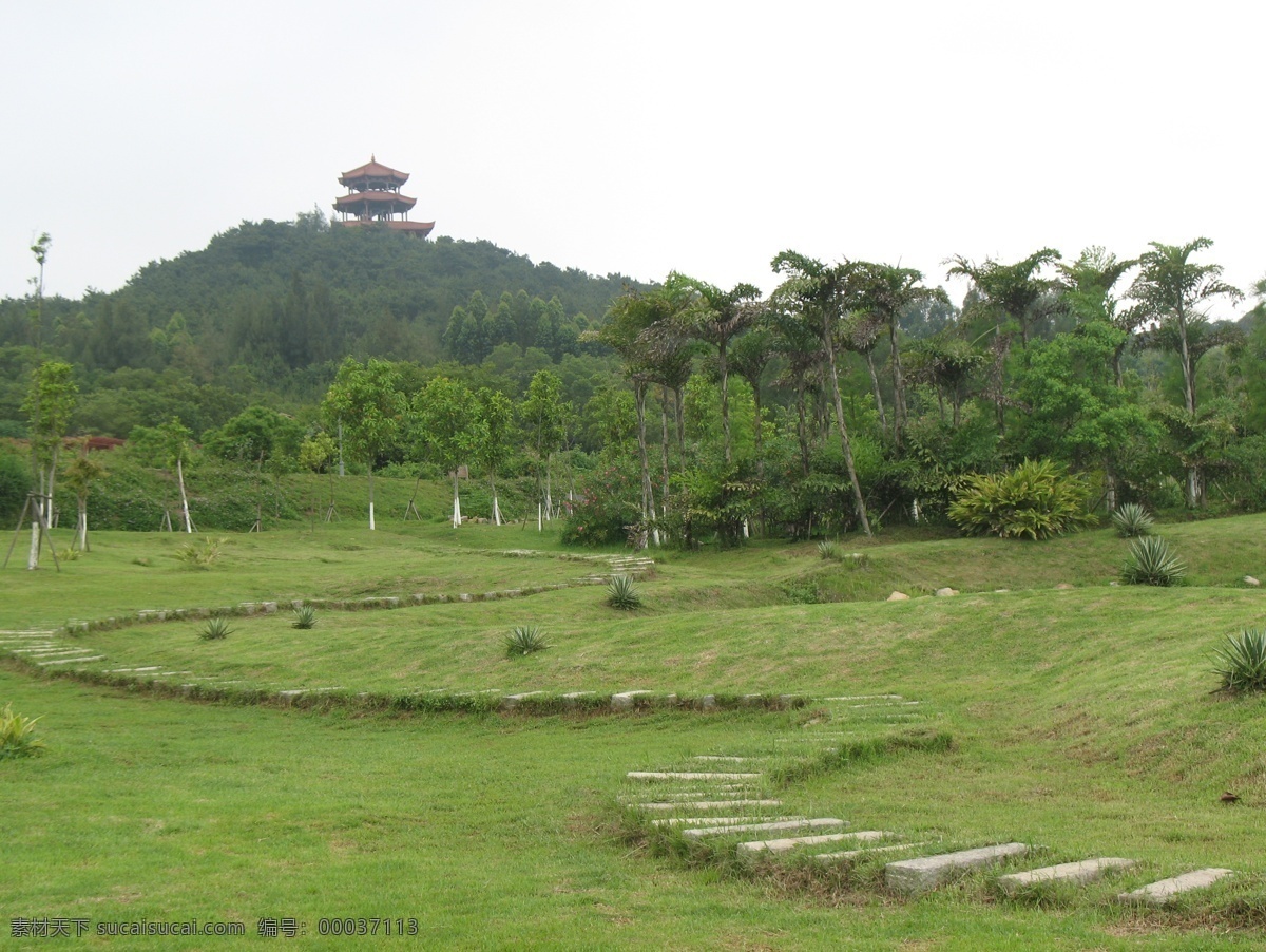 自然风景 草 公园 绿化 农场 森林 山 山坡 树 树林 天空 塔 树木 园林 小区 装饰素材 园林景观设计