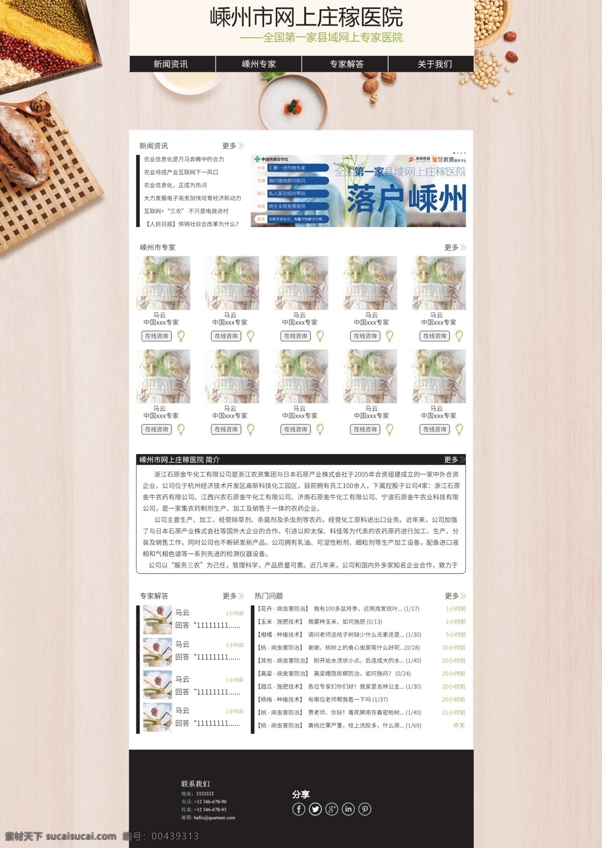 粮食 农业 网页模板 模板 网页 杂粮 原创设计 原创网页设计