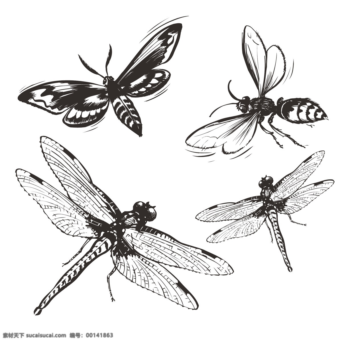 印花 矢量图 动物 服装图案 昆虫 蜜蜂 蜻蜓 印花矢量图 面料图库 服装设计 图案花型