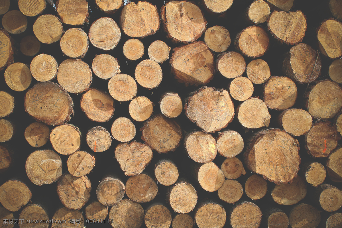 木材 木头 柴火 树木 年轮 素材之家 生物世界 树木树叶