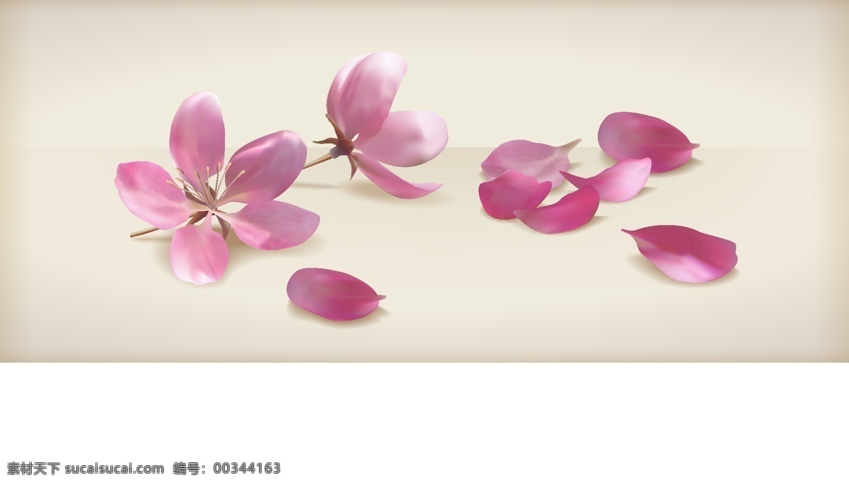 矢量 花瓣 海报 banner 花瓣背景 简约 简约背景 矢量背景 矢量花瓣 文艺 小清新