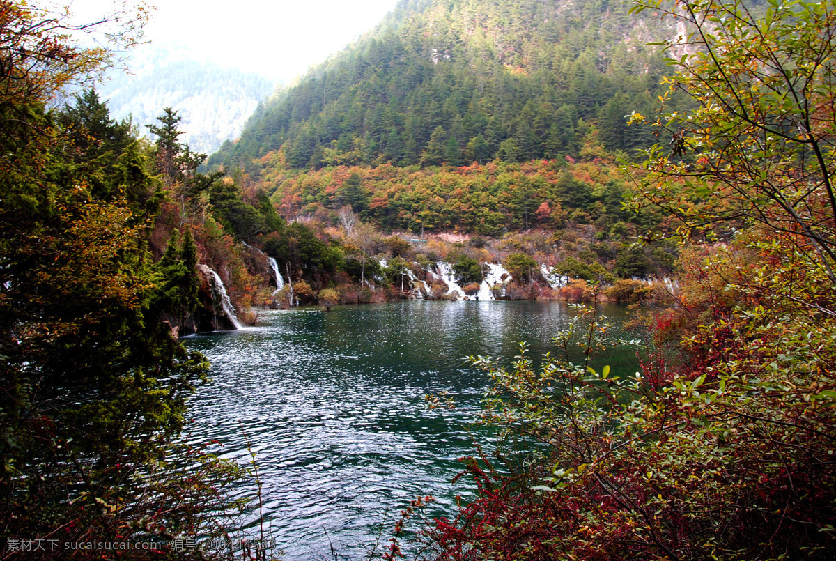 五彩叶 九寨沟 自然风景 自然景观 山水风景 九寨 水 湖水 瀑布 水草 树 红叶 山 白云 九寨秋水 旅游摄影