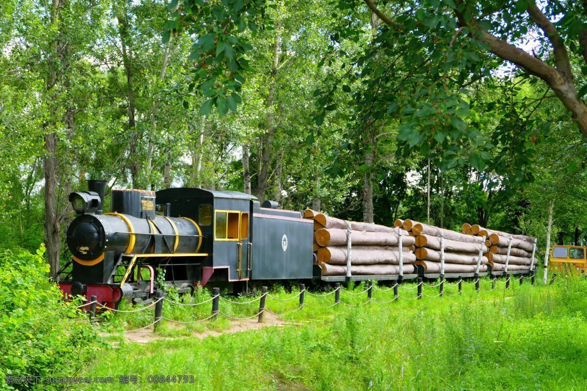 森林小火车 黑龙江 伊春 木雕园 火车头 装满木材车厢 现代科技 交通工具