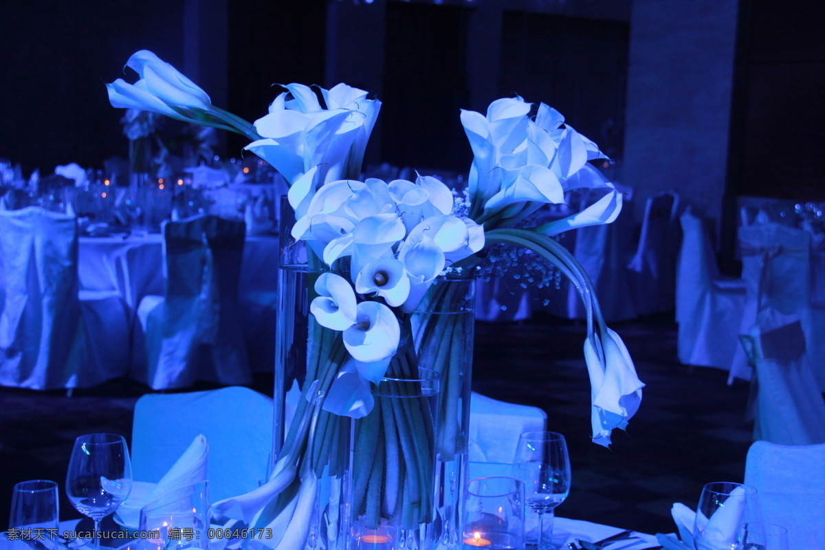 婚礼花朵 婚礼 花 蓝色 玫瑰 桌花 黑色