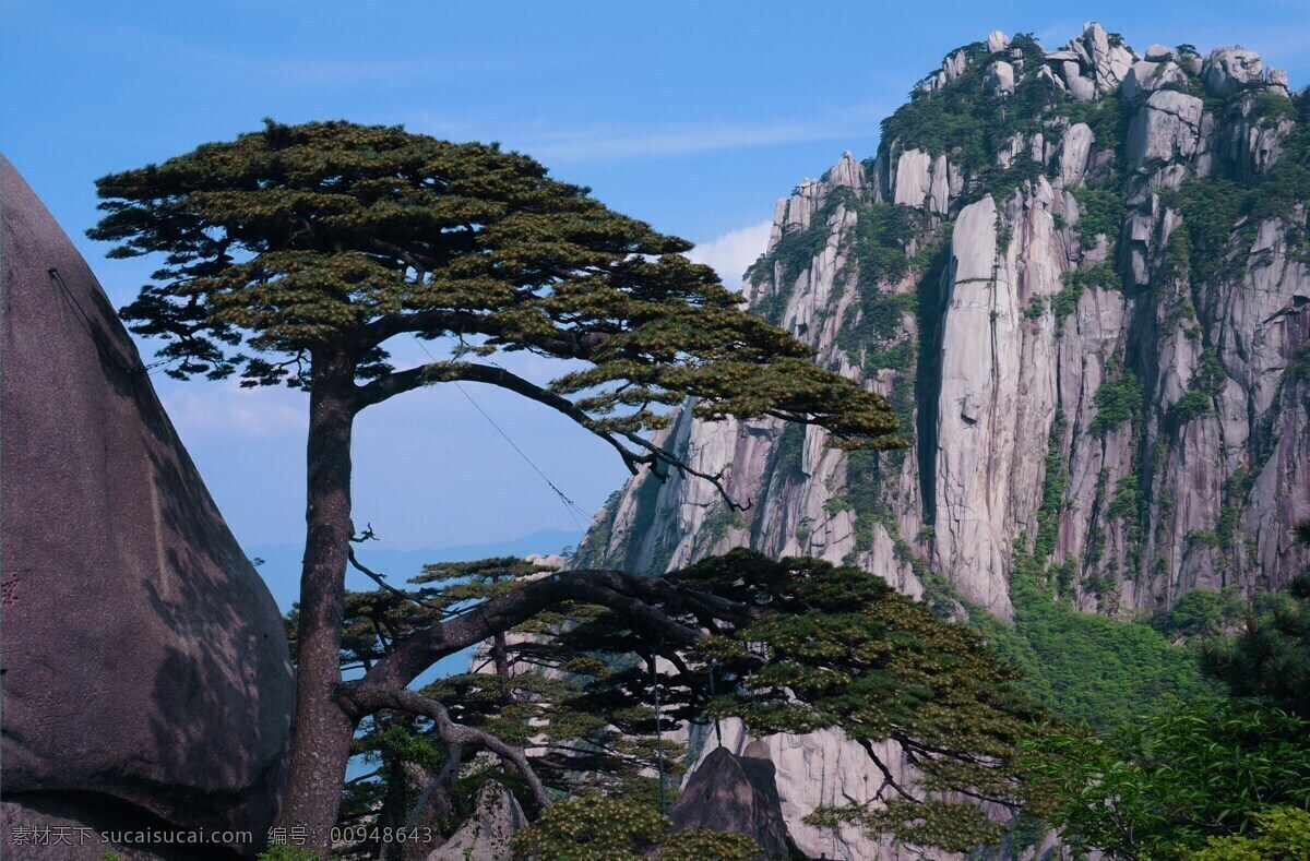 黄山美景 黄山 黄山迎客松 黄山松 安徽黄山 山水美景 自然美景 自然景观 山水风景