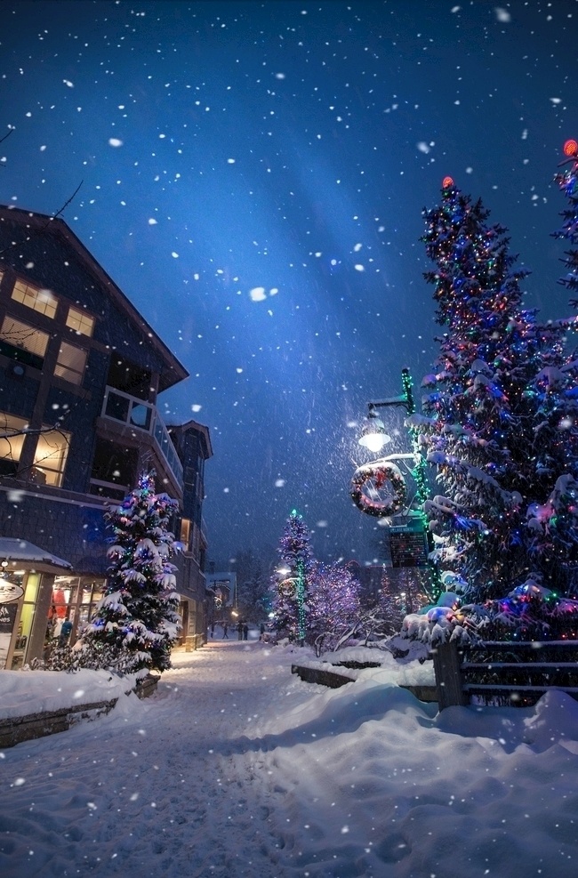 圣诞节 夜景 圣诞 雪景 下雪 圣诞树 星空 大雪 彩灯 树灯 路灯 氛围 气氛