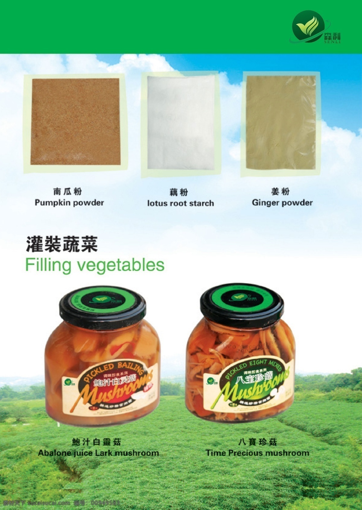 广告设计模板 画册设计 绿色 企业 食品 蔬菜 宣传册 模板下载 源文件 其他画册封面