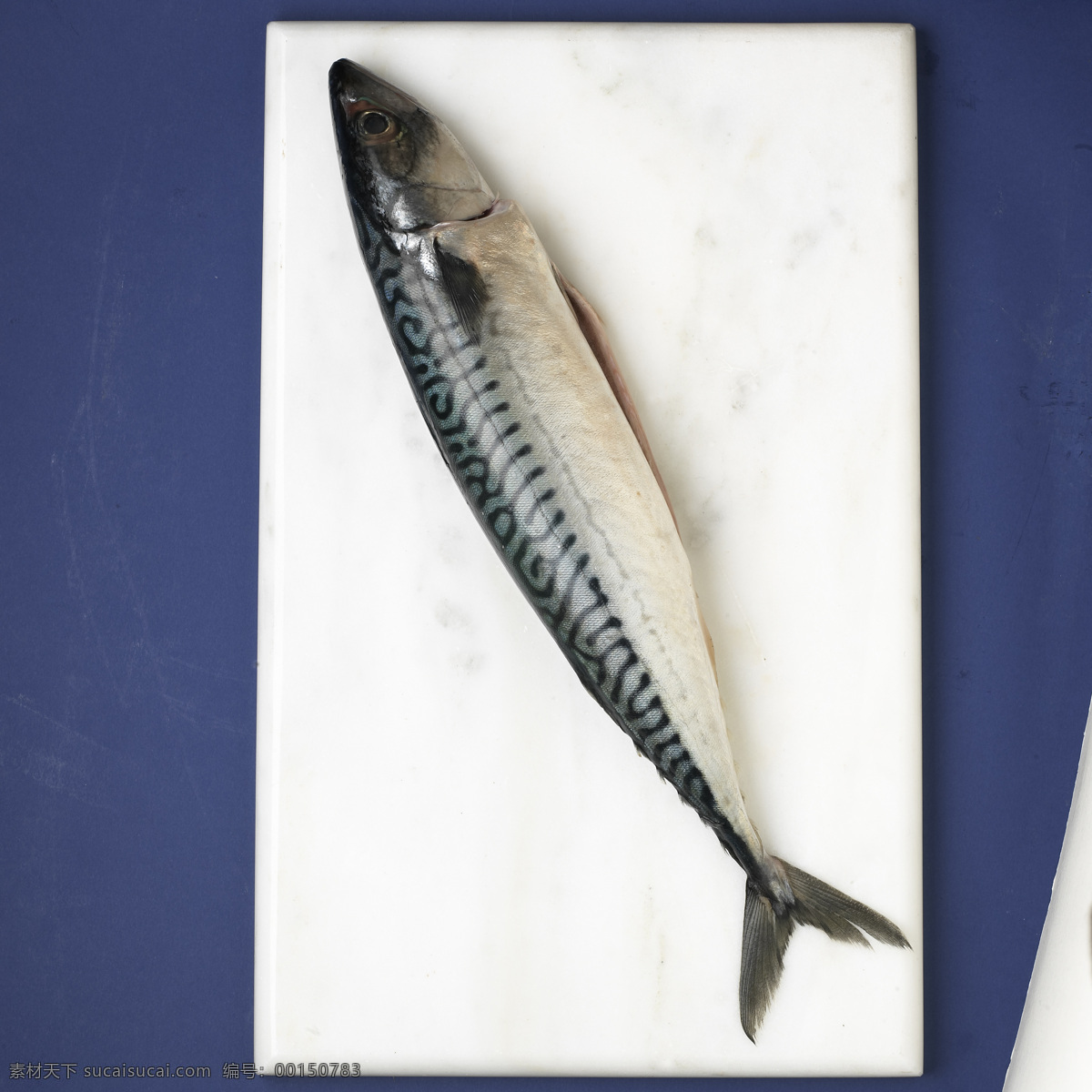 砧板 上 秋 刀鱼 厨房 生物世界 鱼类 砧板上 秋刀鱼 做菜 装饰素材 室内设计