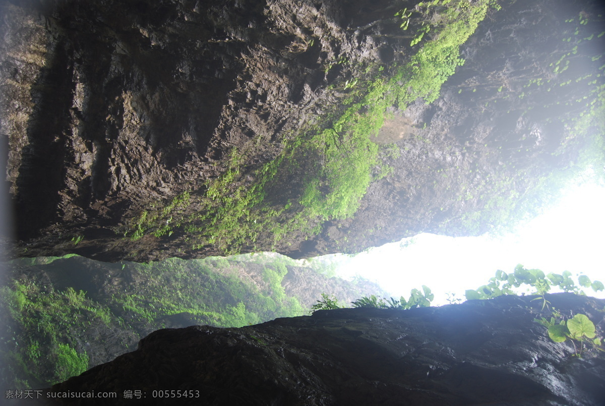 树免费下载 风景 山水风景 摄影图 树 植物 自然景观 水 家居装饰素材 山水风景画