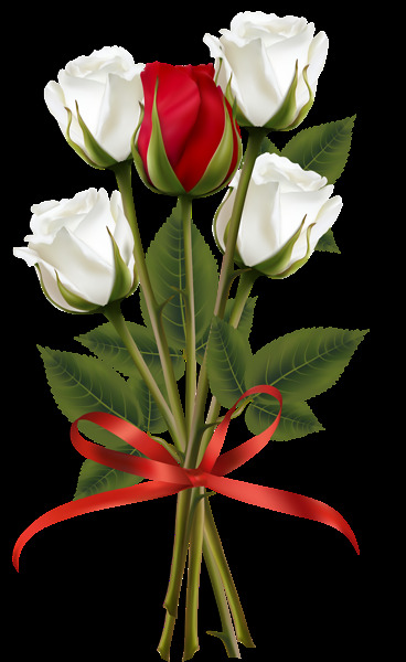 纯洁 清新 白色 花朵 花束 实物 元素 白色花朵 红色彩带 花瓣 画质 装饰元素