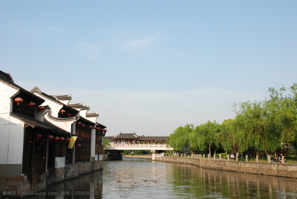 树免费下载 风景 山水风景 摄影图 树 植物 自然景观 水 展板 其他展板设计