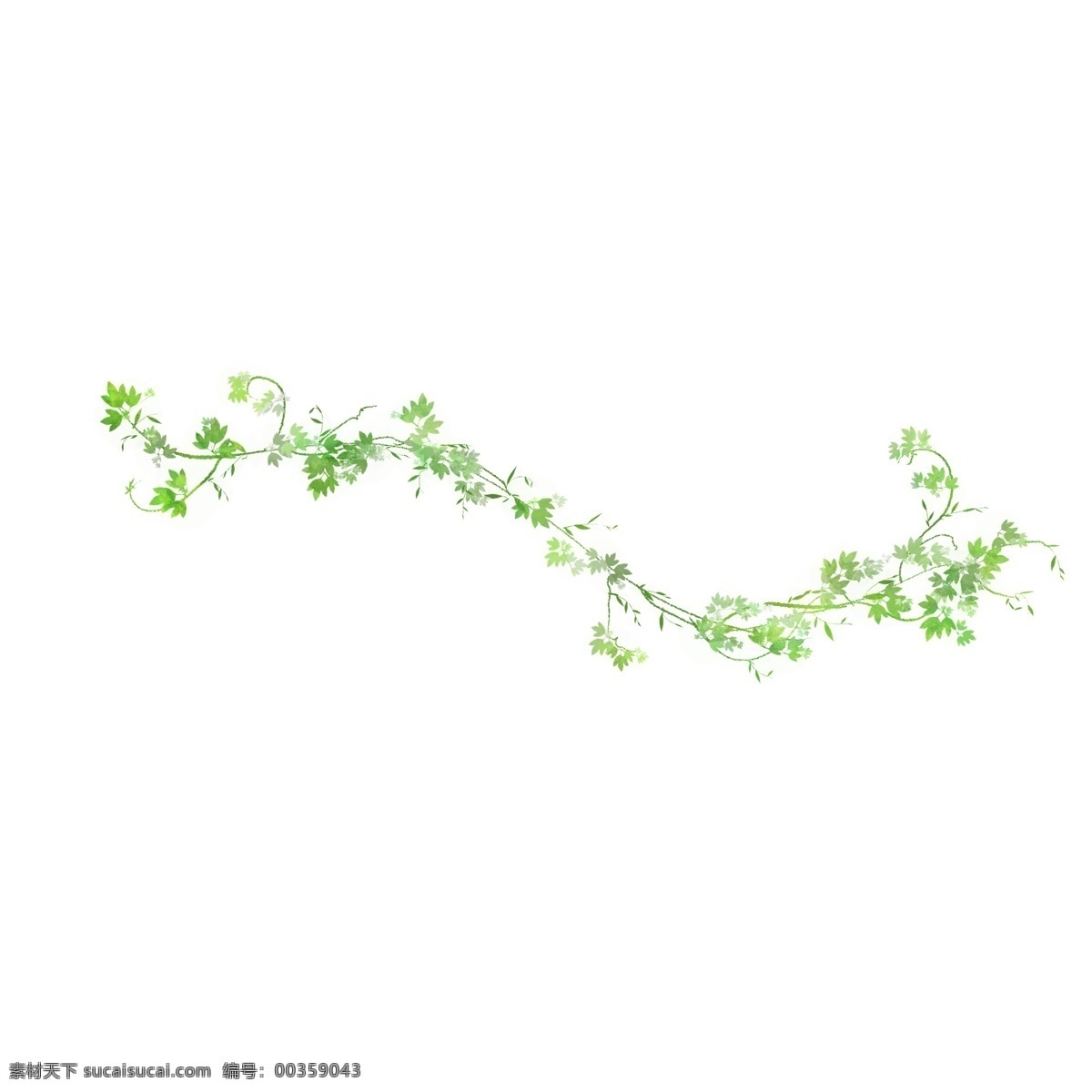 小 清新 藤蔓 树叶 免 抠 美丽的花 花卉图案 大叶子 大自然 小清新 树叶子 叶子 夏天 手绘 插画 春天 植物
