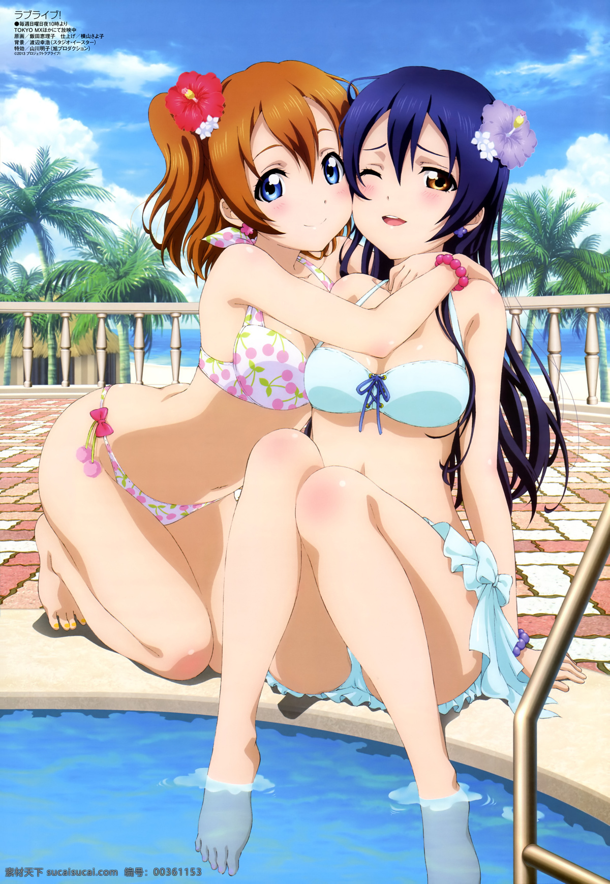 lovelive 校园 偶像 计划 校园偶像计划 高坂穗乃果 南小鸟 园田海未 绚濑绘里 东条希 西木野真姬 星空凛 小泉花阳 矢泽妮可 动漫动画 动漫人物