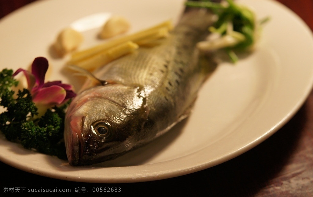海鲈鱼 鱼 海鲜 西餐美食 餐饮美食
