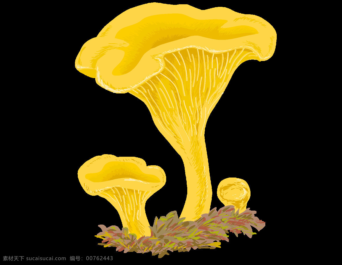 金色 蘑菇 插画 元素 png元素 海报 免抠元素 透明元素